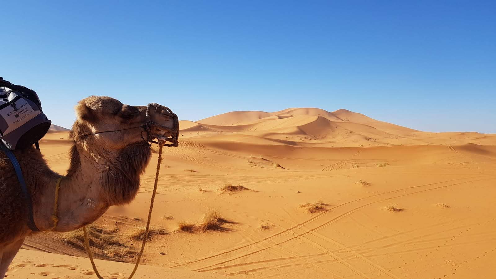 trekking desierto marruecos (100)