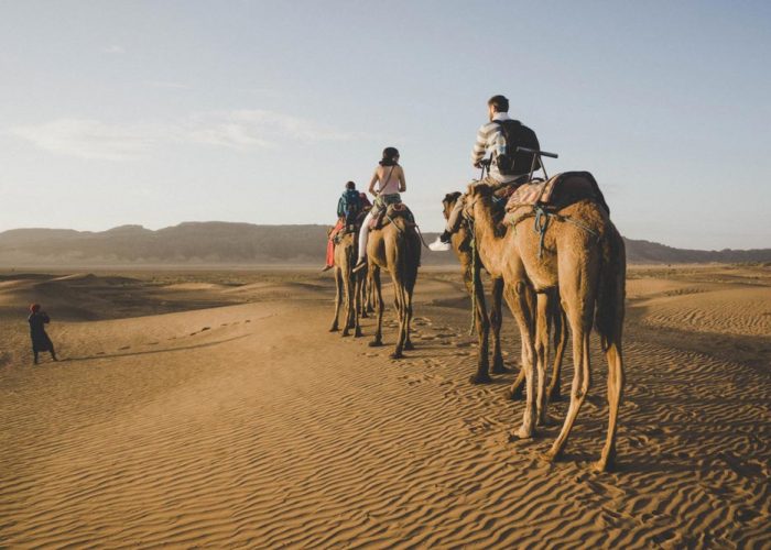 Camel riding in Zagora desert in Morocco