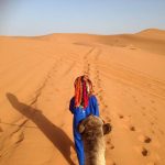 4 Days from Marrakech to Ouzina Desert