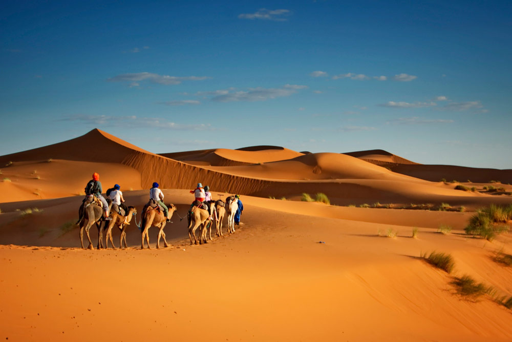 best morocco tour company